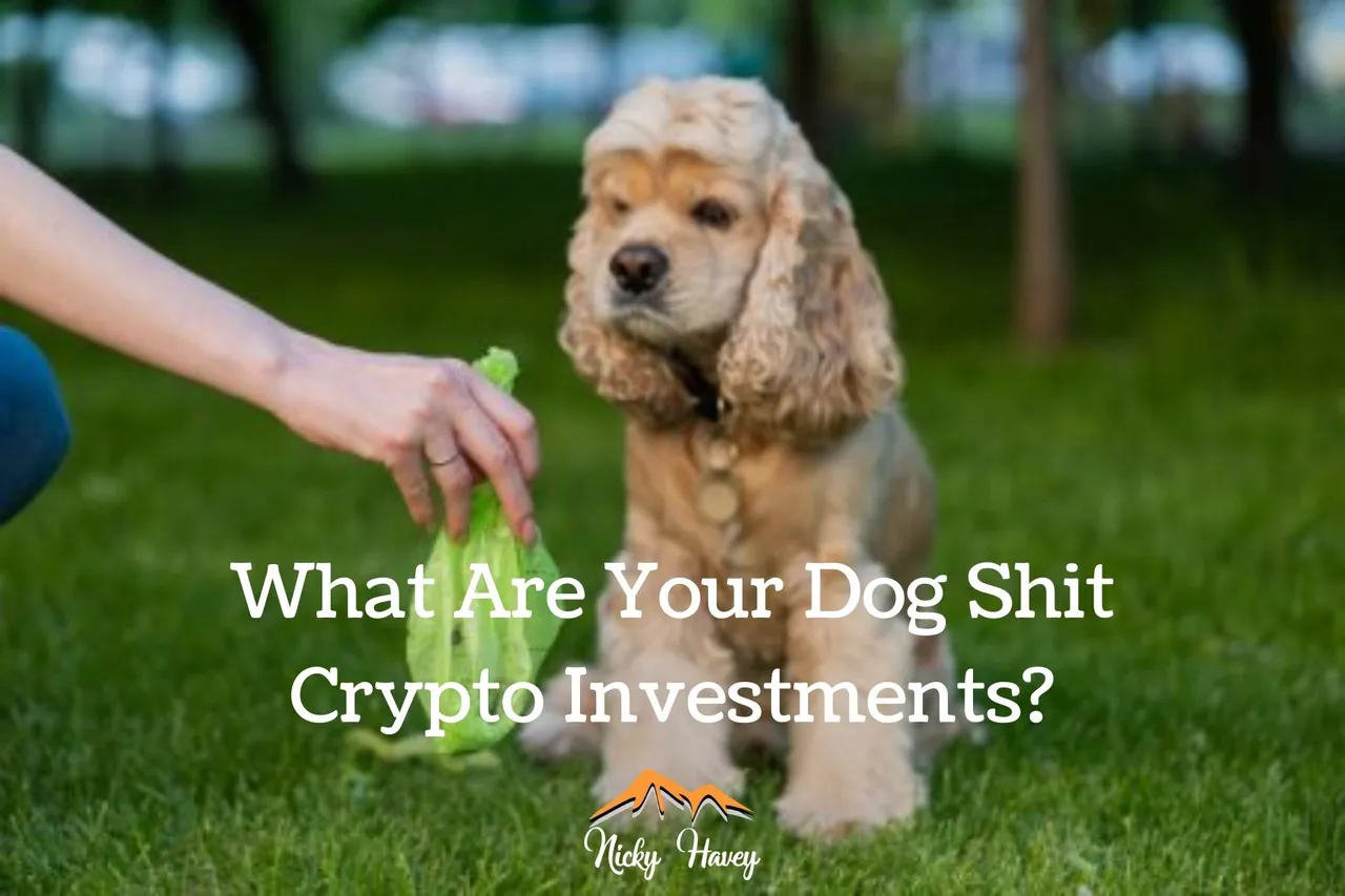 Dog shit crypto investments.jpg
