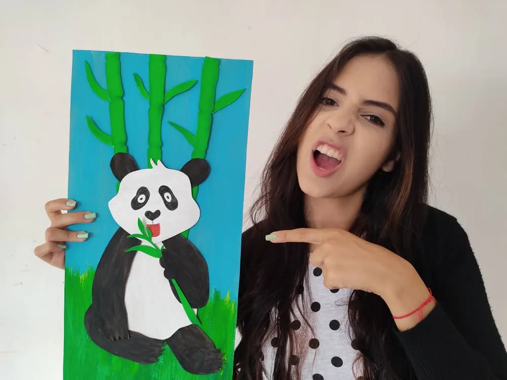 saracamperocuadrodepanda1 (11).jpeg