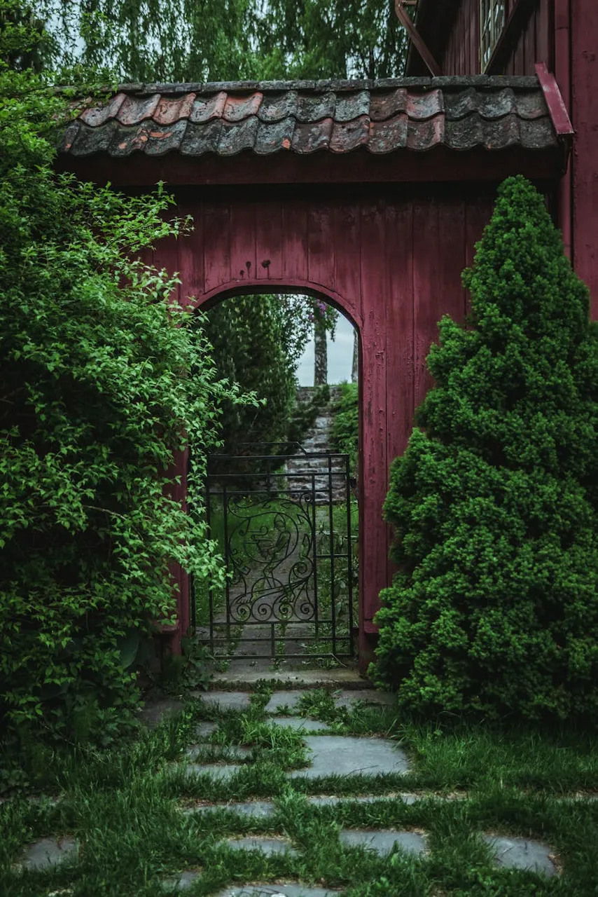Image on Pexels by  Tobias Bjørkli