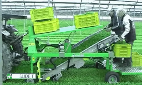 anigifslide T.mp4