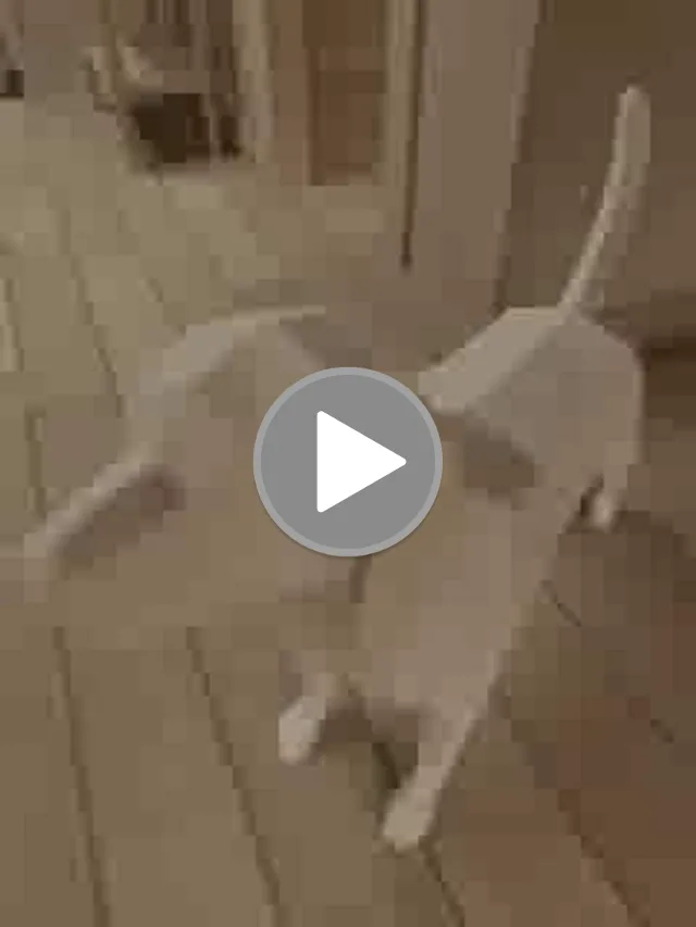 videos/b01289a8199d6dccfa4401bd65f56924-00001.png