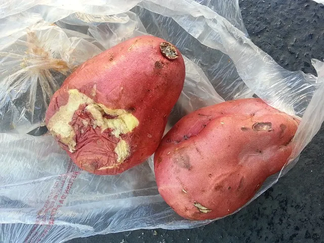 rotten-sweet-potatoes-644043_640.jpg