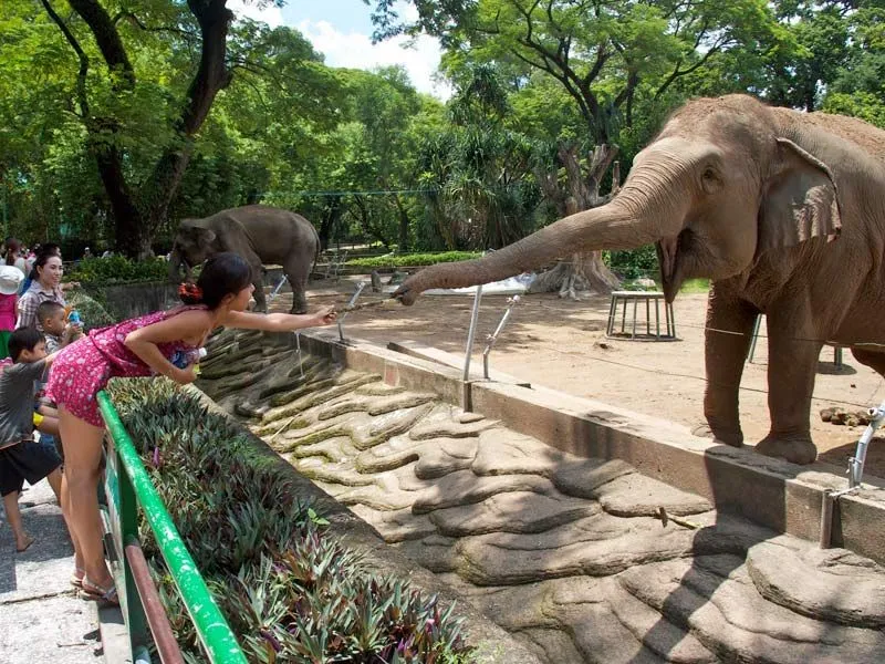 Saigon_Zoo_and_Botanical_Gardens.jpg