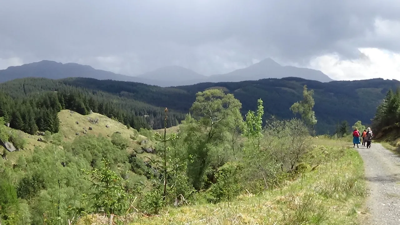 Walking towards Ben Lomond.JPG