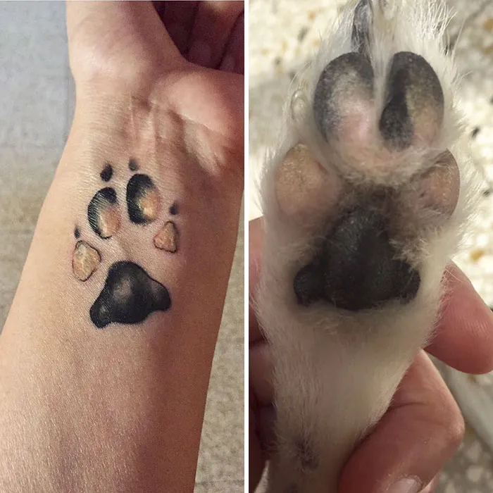 paw-tattoo-24-59b7a78985f04__700.jpg