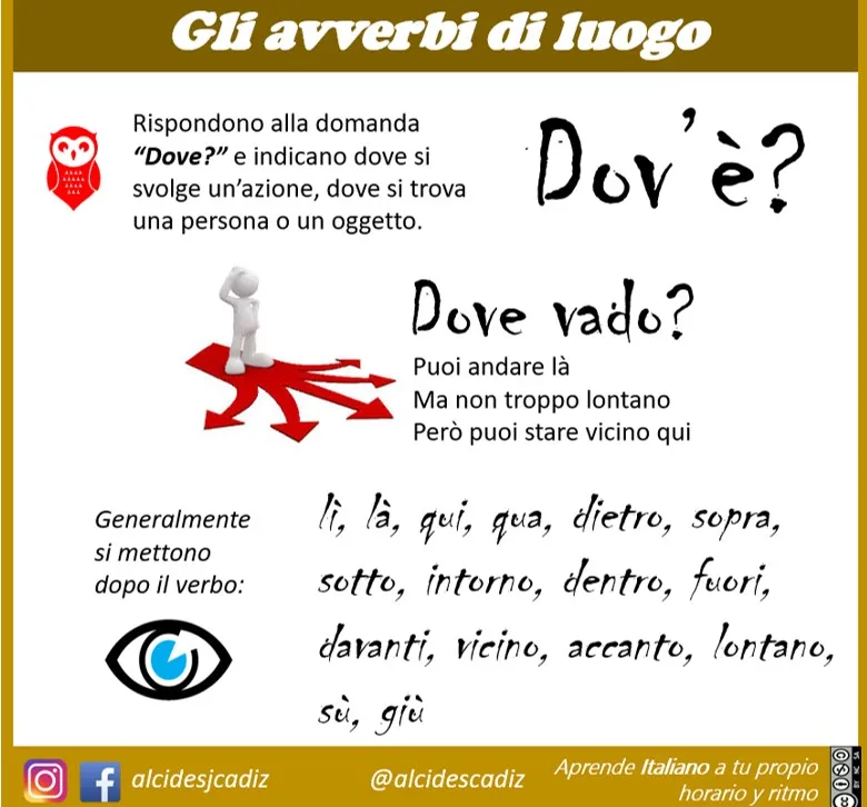 MICROLEZIONEJPG062avverviluogo02.jpg