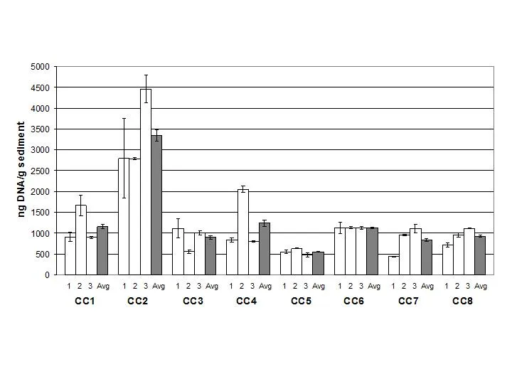 CC1-8 qRT-PCR Linear graph.jpg
