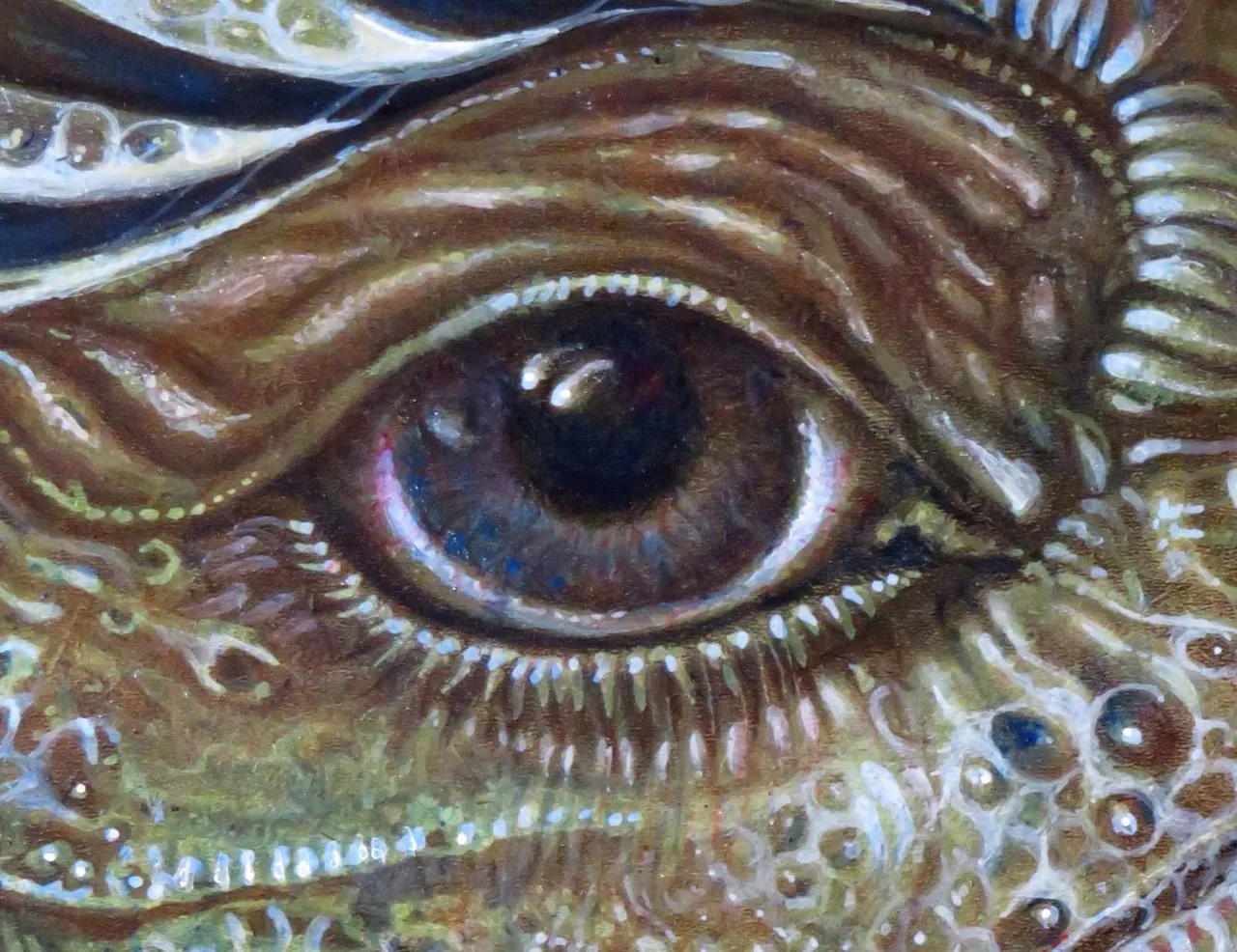 IMG_0842-crop-detail-eye-web1600.jpg