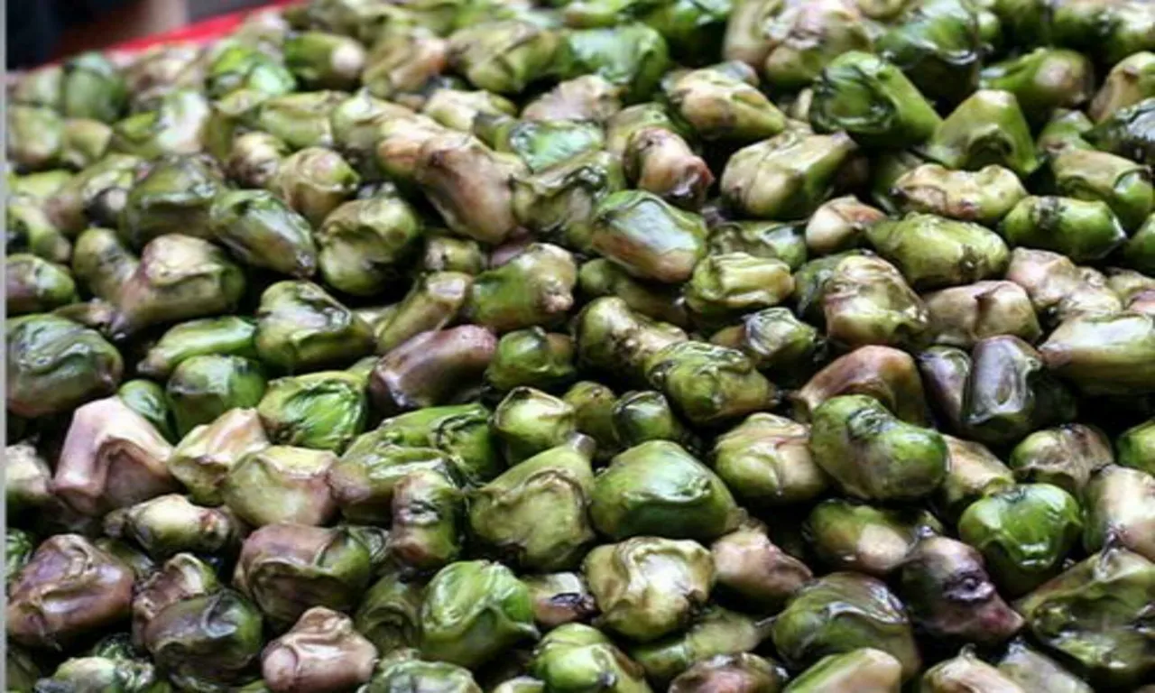 water-chestnut-500x500-2000x1200.jpg