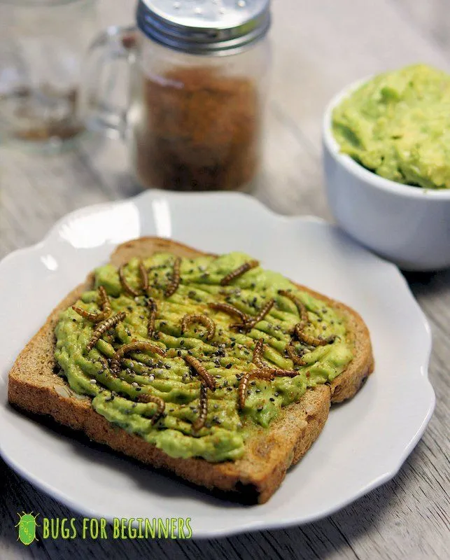 Avocade Toast with Roasted Mealworms, photo copyright Michela Dai Zovi