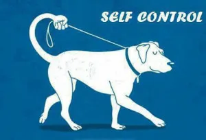 dog-self-control-cartoon-300x204.jpg