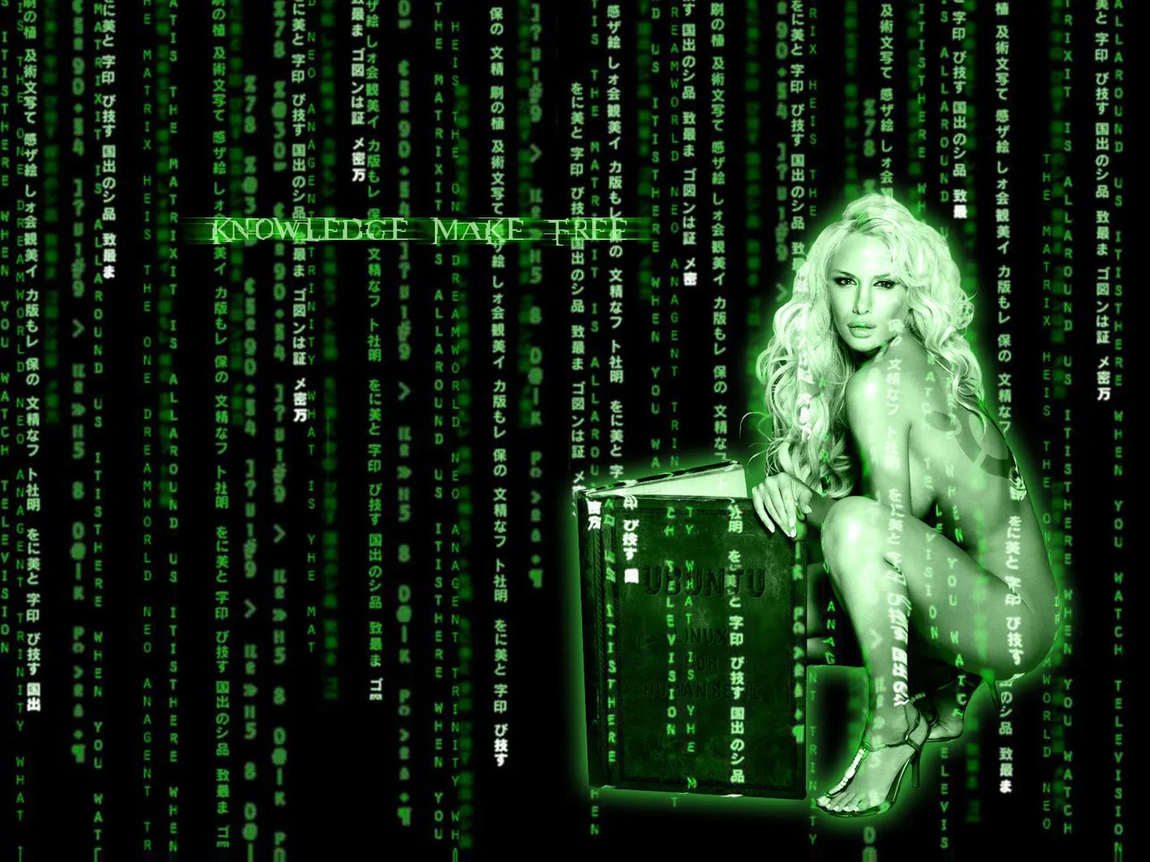 Matrix-High-Definition-Wallpaper.jpg
