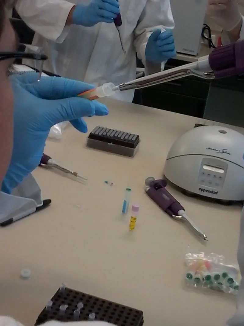 Master_Mix_with_Primers_form_PCR.jpg