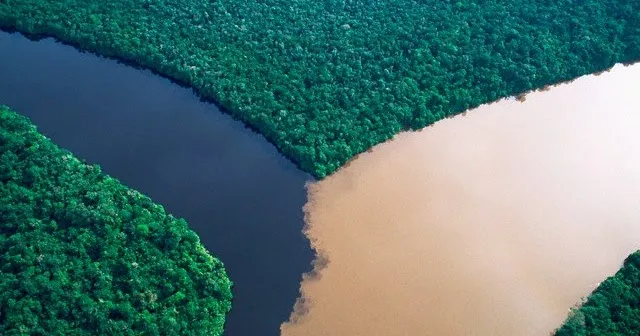 el Rio Orinoco y Caroni1.jpg