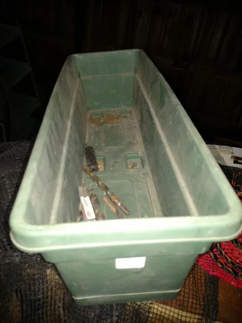 Planter IMG_20180428_195653248.jpg