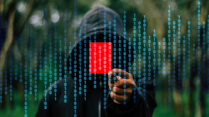 hacker_boy_pixabay_1494927413019.jpg