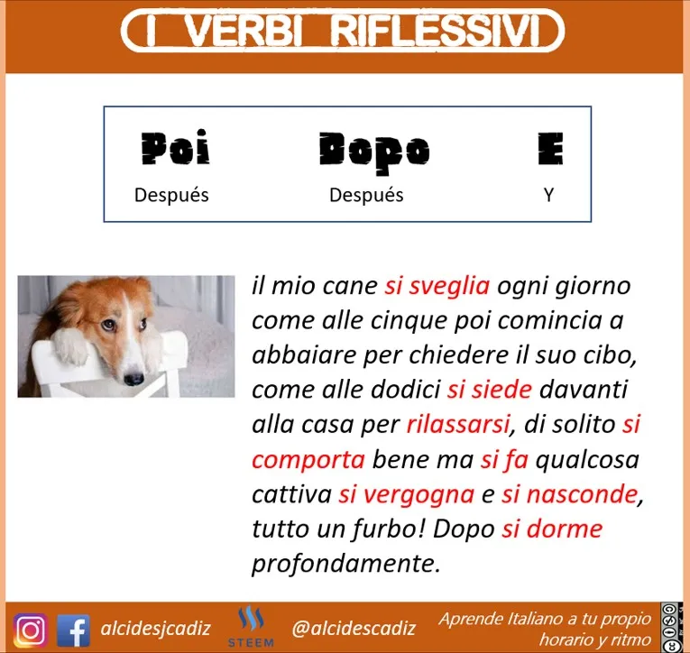MICROLEZIONEJPG060reflexivos03v2.jpg