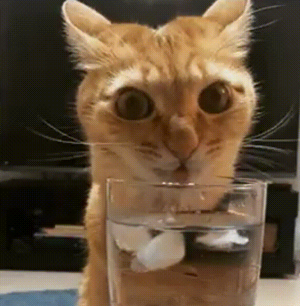 Your post is very good