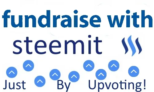 FUNDRAISING LOGO STEEMIT 1.jpg