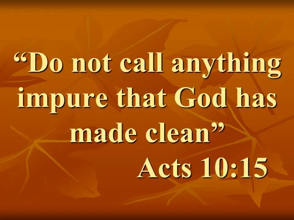 The spiritual vision of Peter. Do not call anything impure that God has made clean. Acts 10,15.jpg