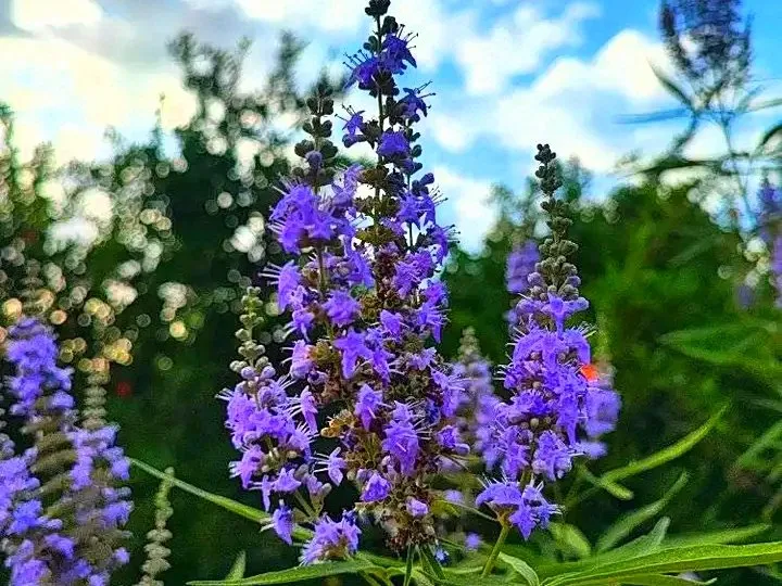 2FFvzA2zeqoVPgRCnRzbu6rj6tCWHWVCA9ZaKB4ZqmLW7HuFEYtYznNVArw6G6sW4Ti5i2xpwgit1UqbiWA3PJzVQBtfkwLLawoJrq2TmN2Goz19MkCLpxjFjG9CJ.jpeg