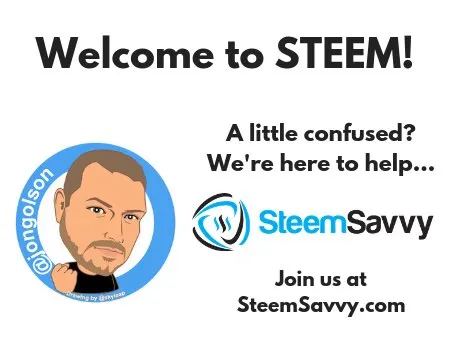 steem training