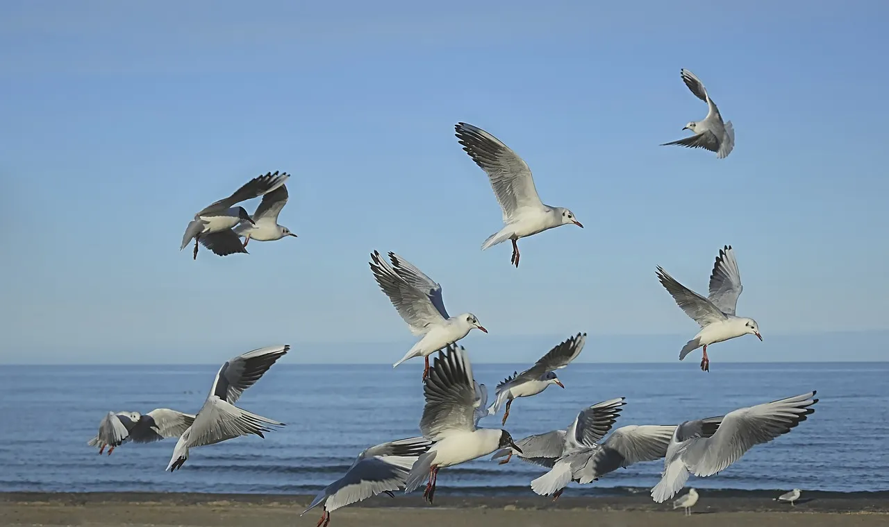 Peggychoucair is the author of this picture/Source:  Pixabay