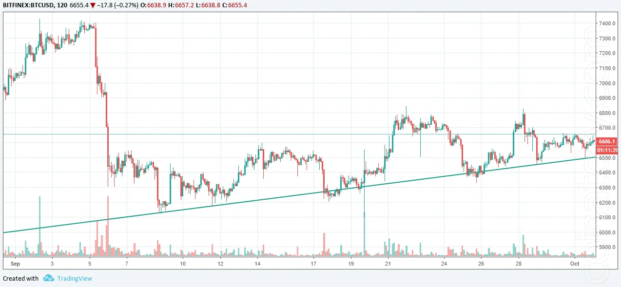 BTCUSD coinatory. Bitcoin: reasons for the price to go anywhere but up