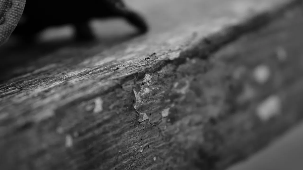 DSC02986a.jpg