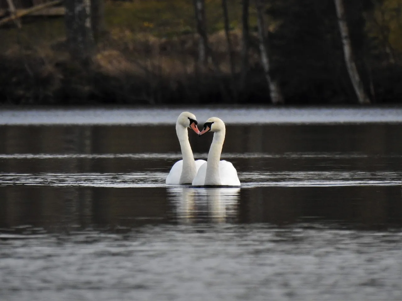 DSCN51431.jpg