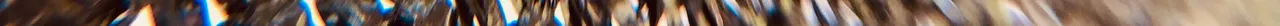 IMG_1176.jpeg
