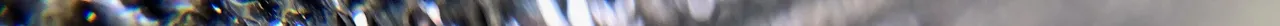 IMG_2519.jpeg
