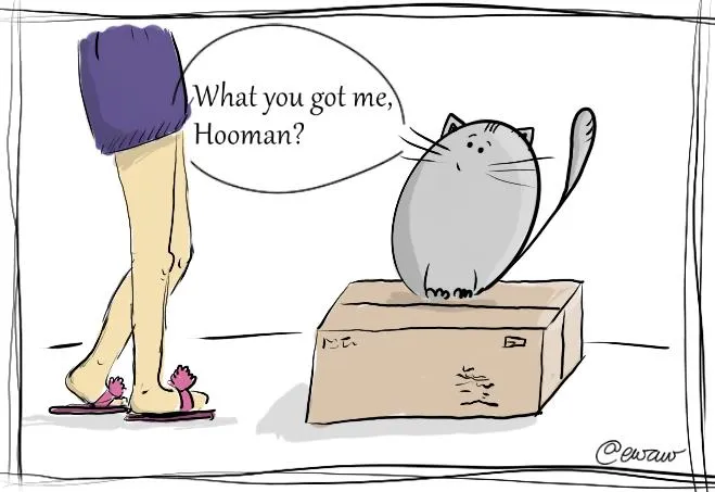 kitty box.jpg
