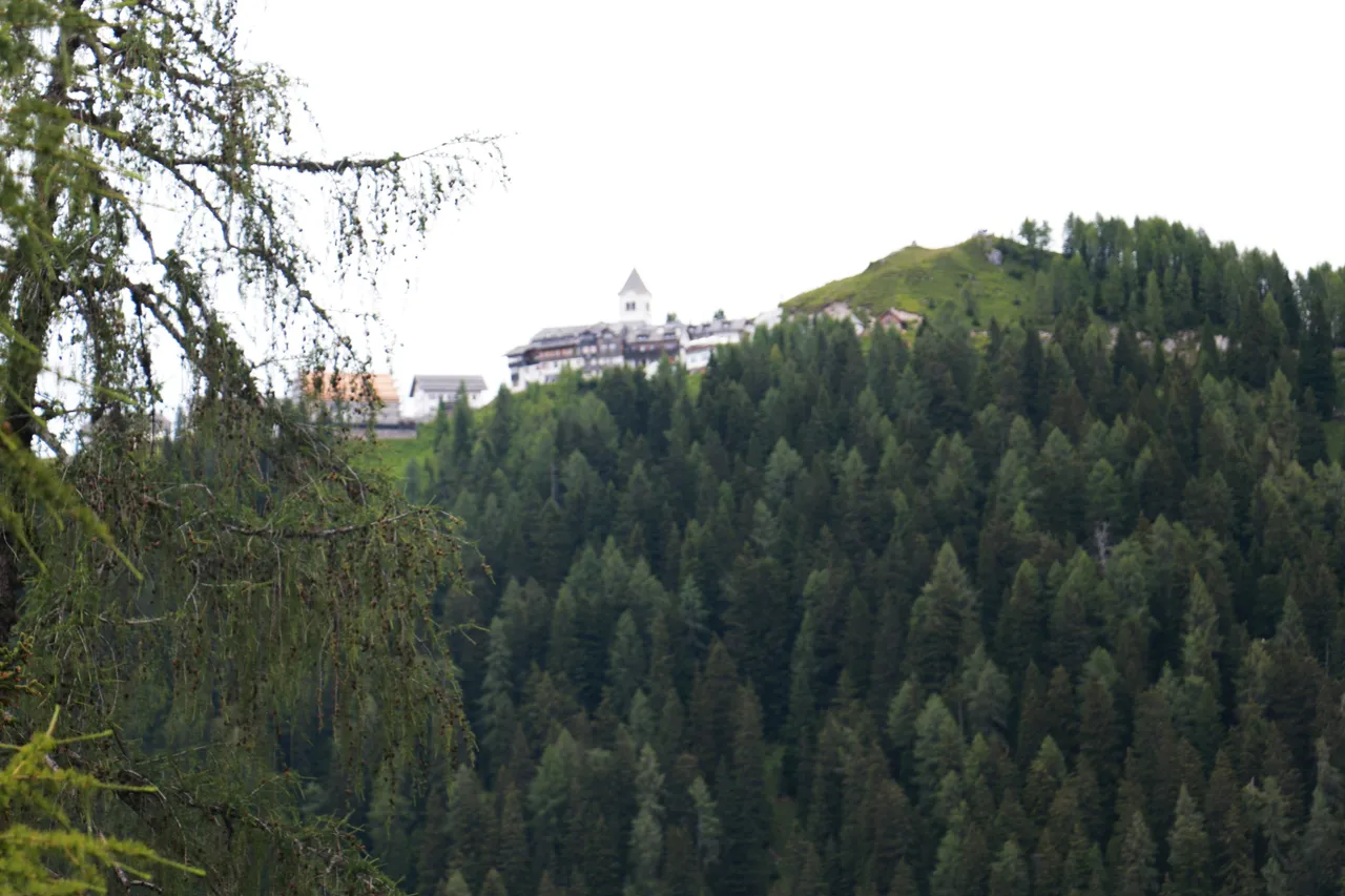 IMG_2953.JPG