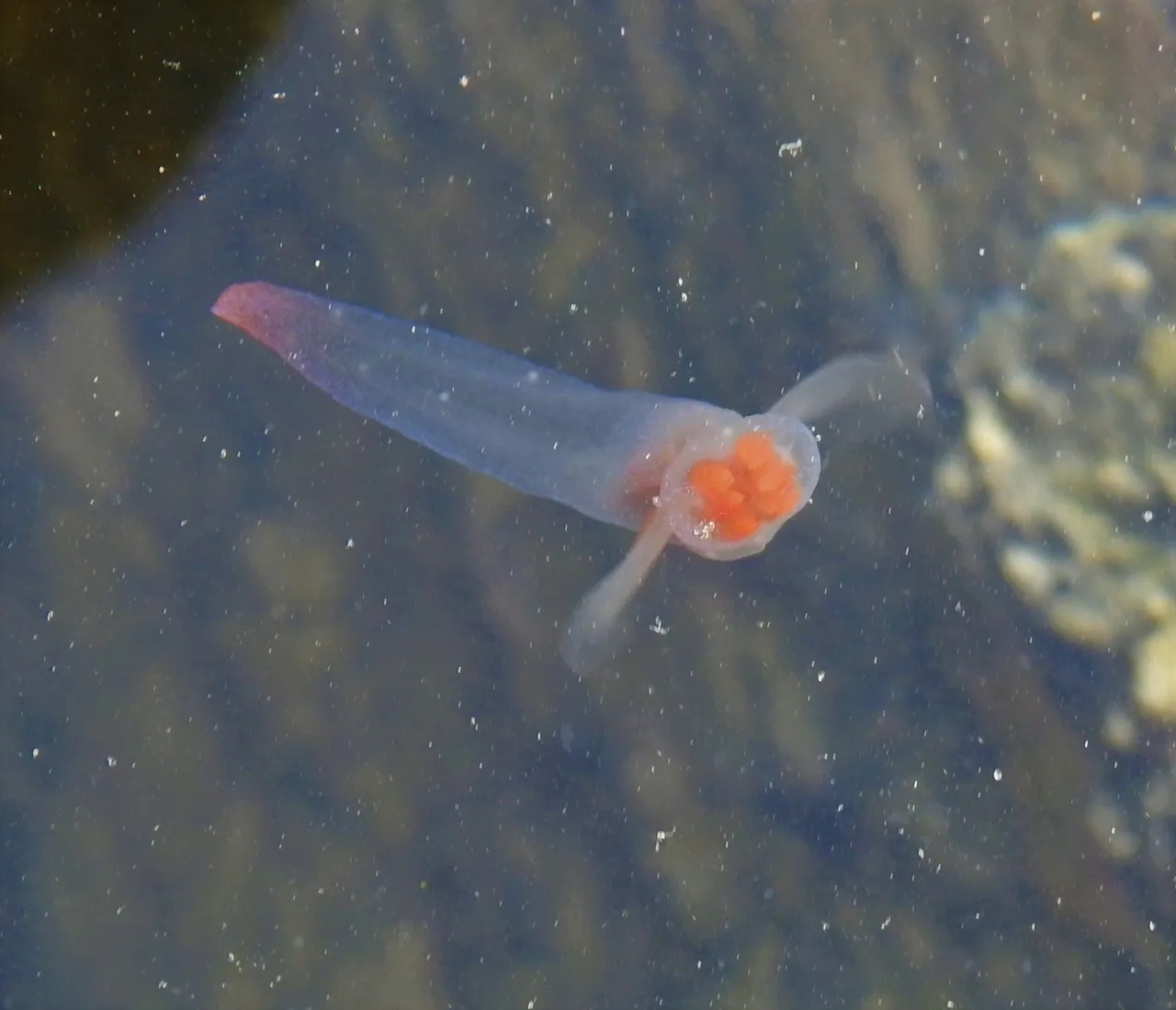 DSCN3838.jpg