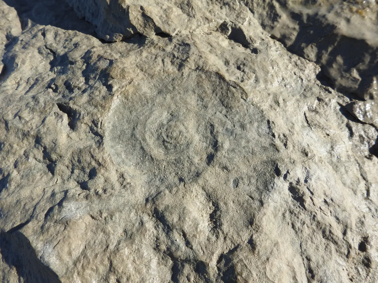 DSCN4061.JPG