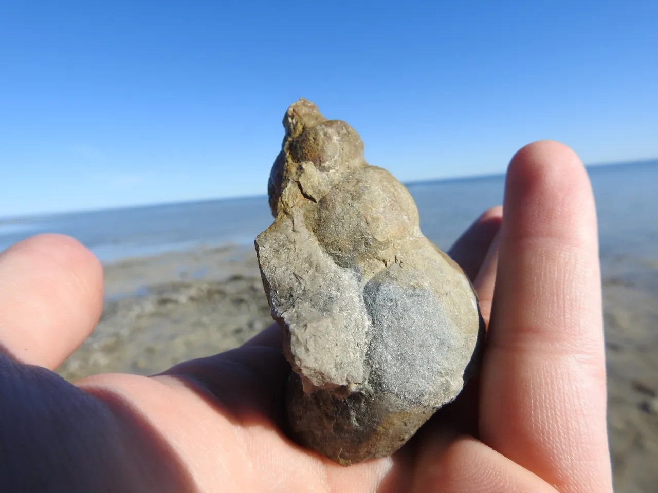 DSCN4055.JPG