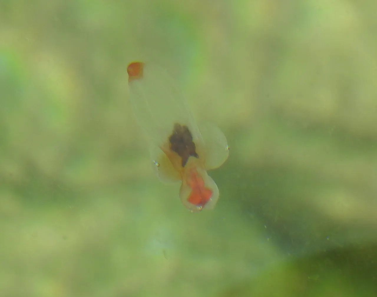 DSCN3829.jpg