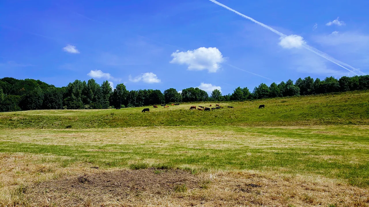 DSC_2120.JPG