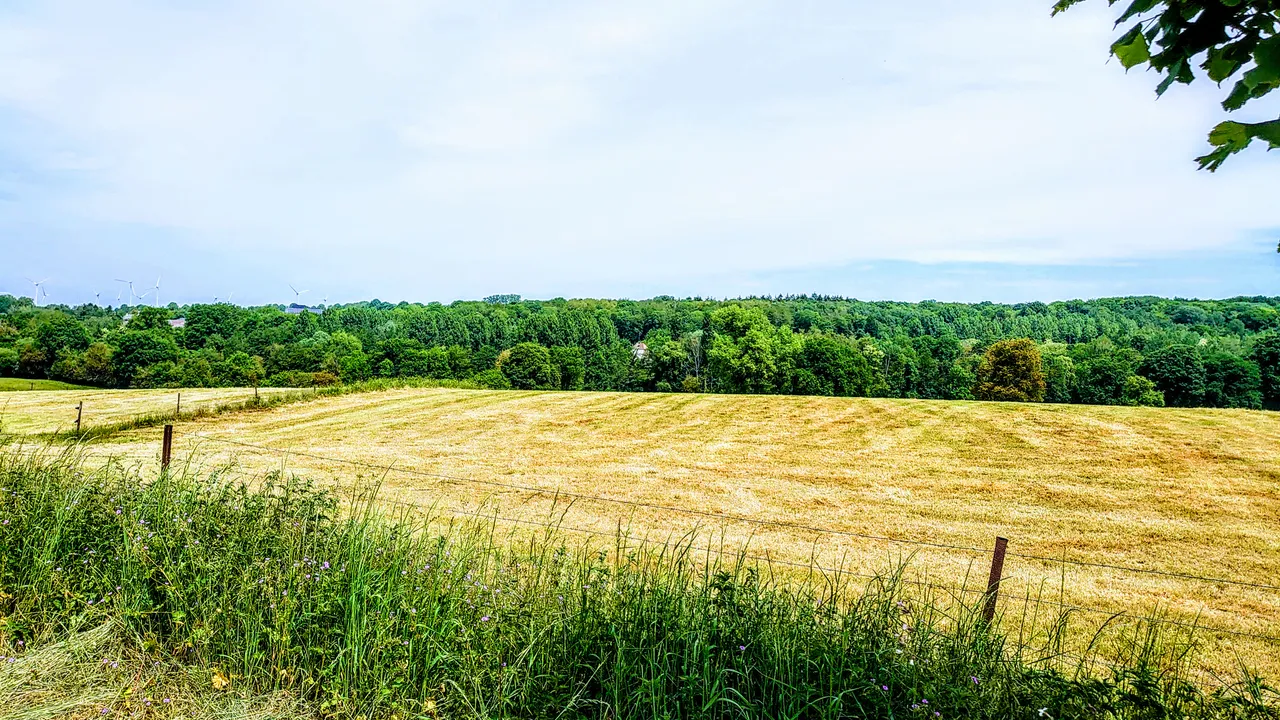 DSC_2034.JPG
