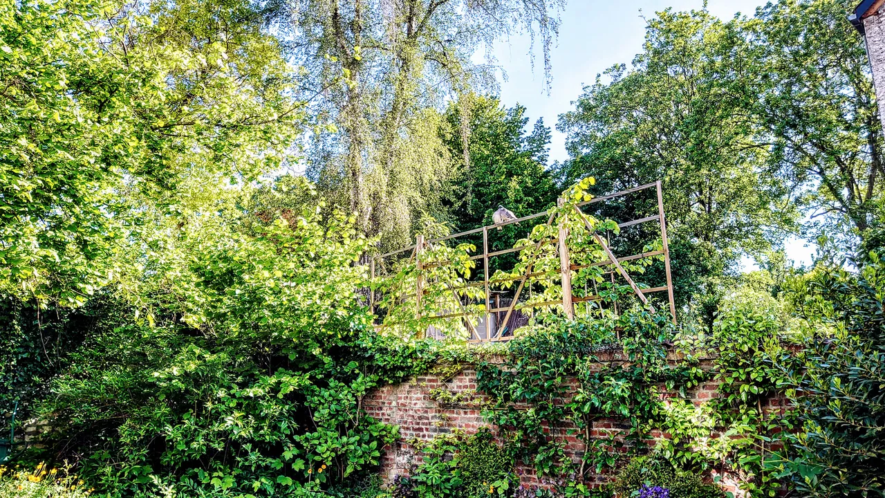 DSC_1863.JPG