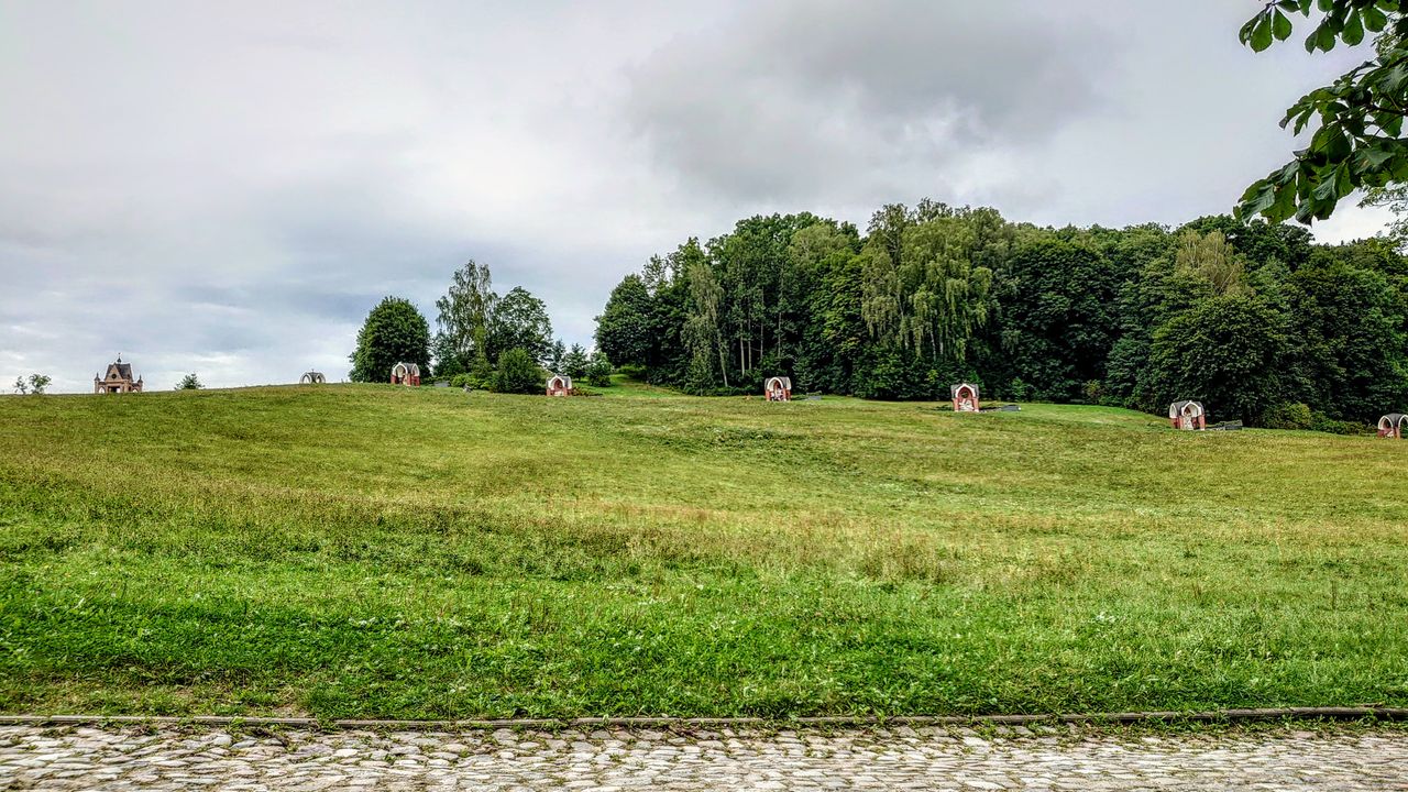 DSC_2230.JPG