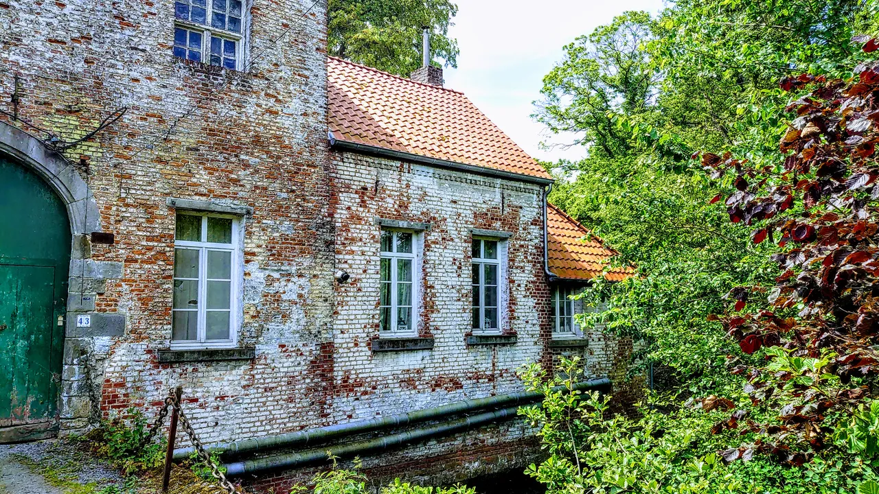 DSC_2006.JPG