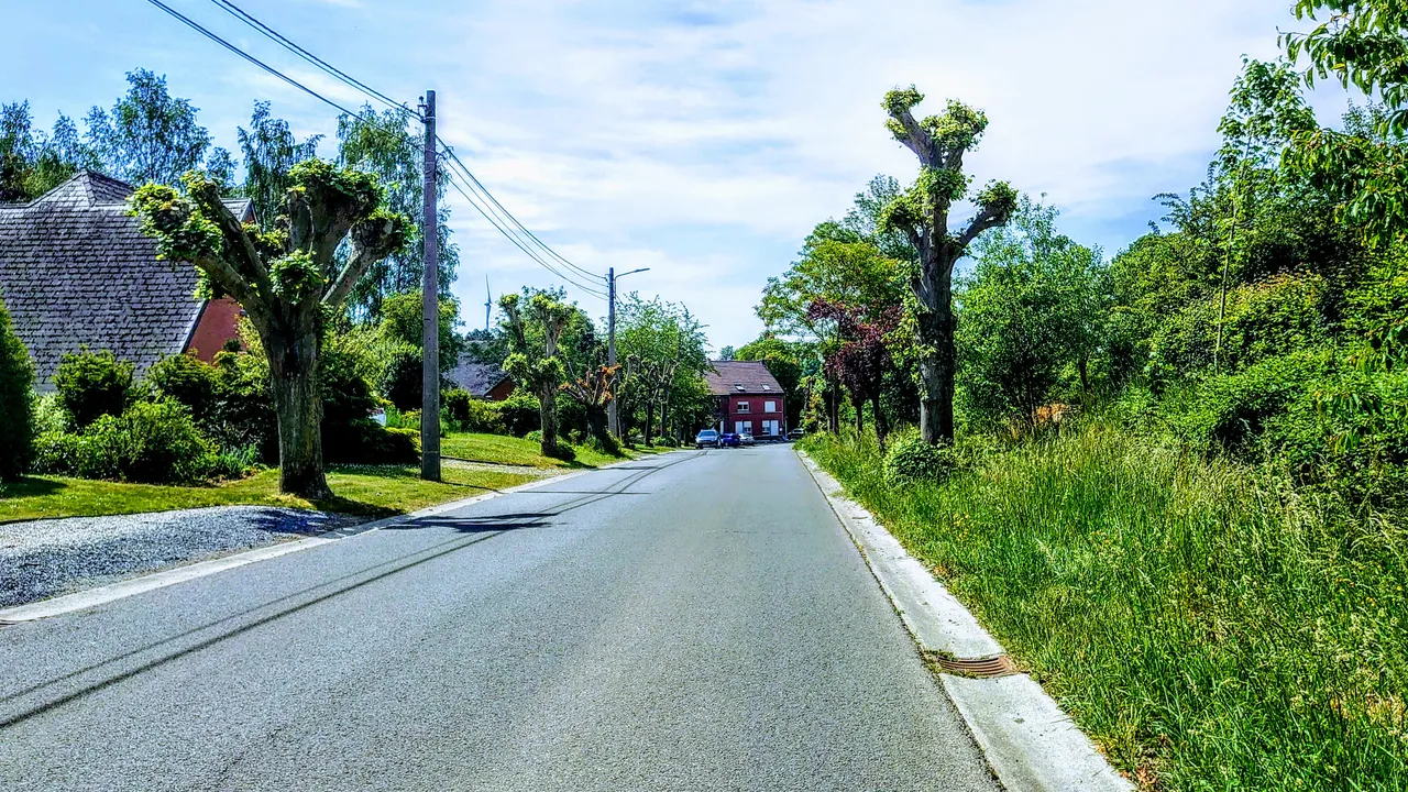 DSC_1996.JPG