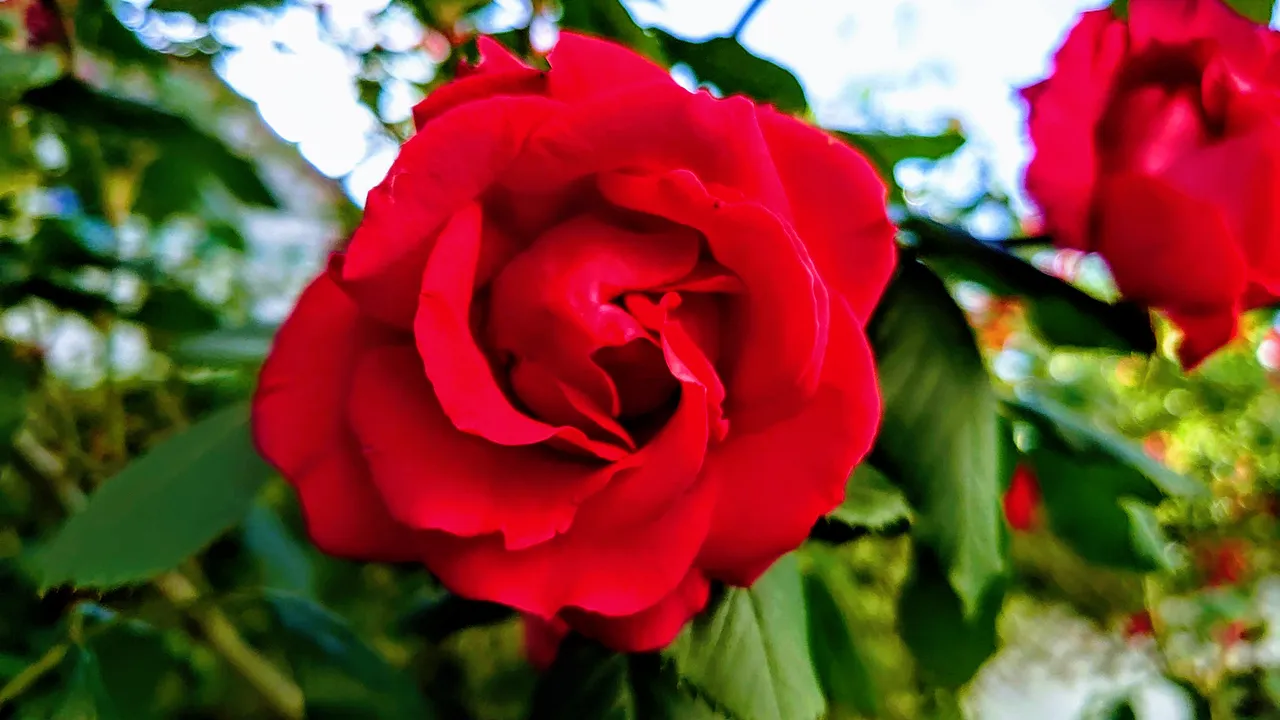 DSC_1862.JPG