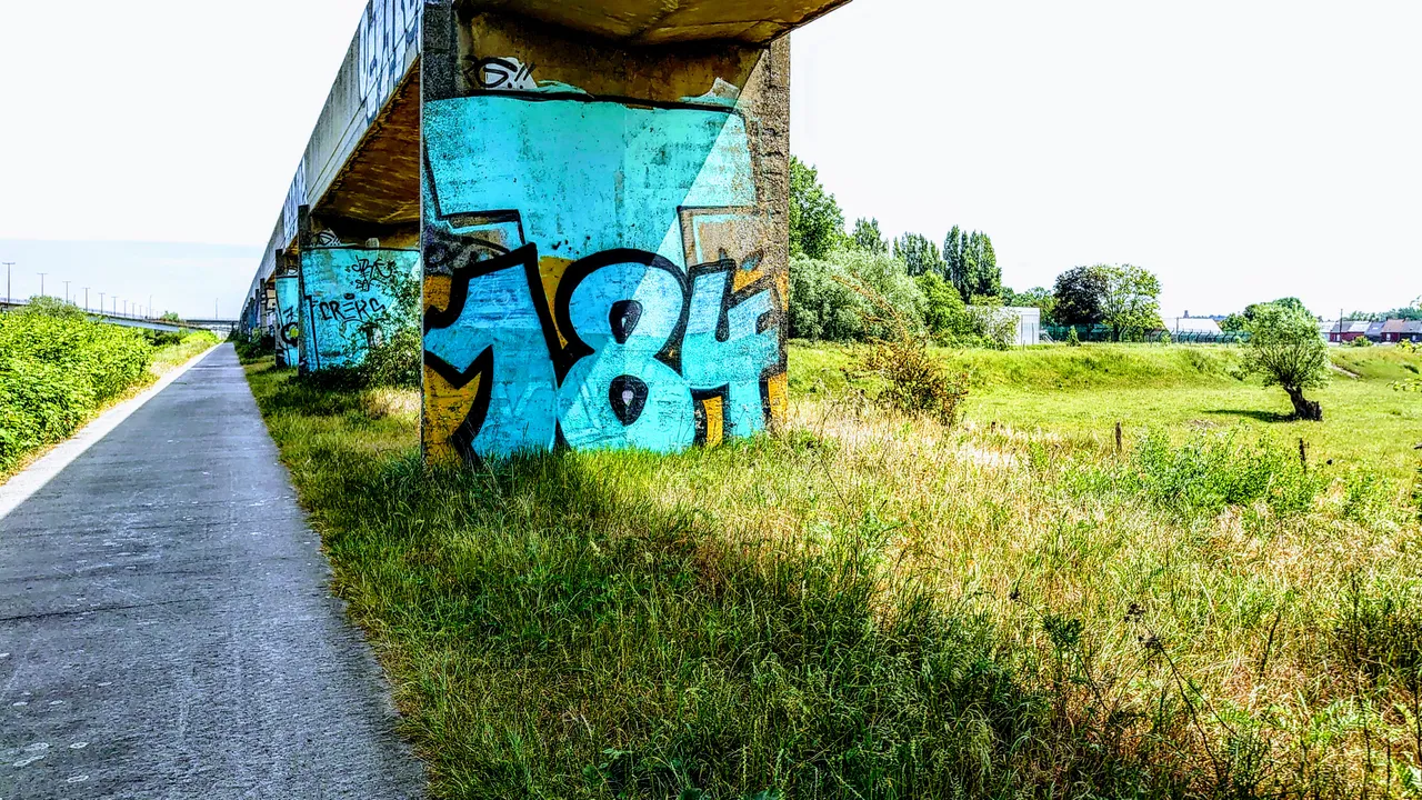 DSC_2043.JPG
