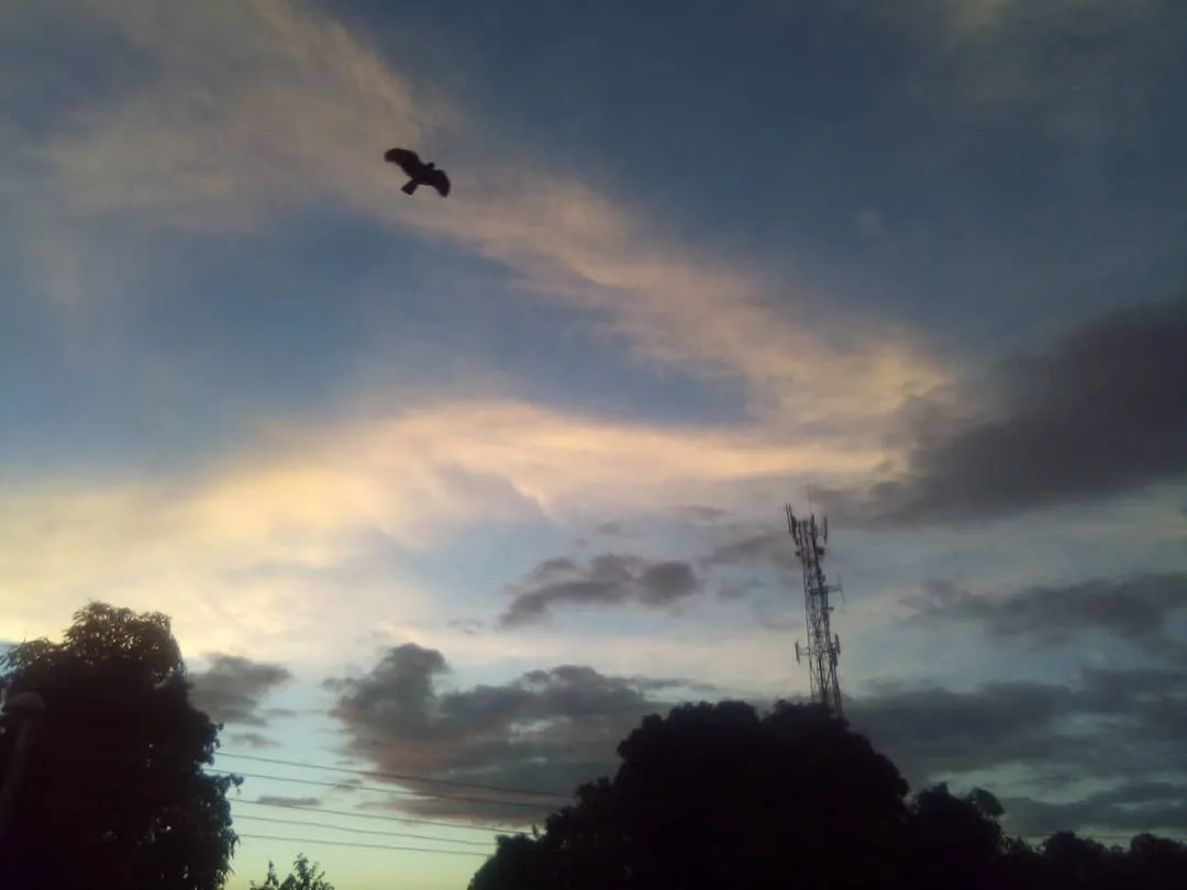 cielo.jpg
