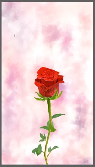 12.PNG