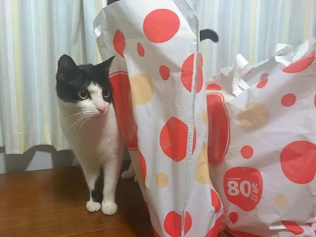 Bags.jpg