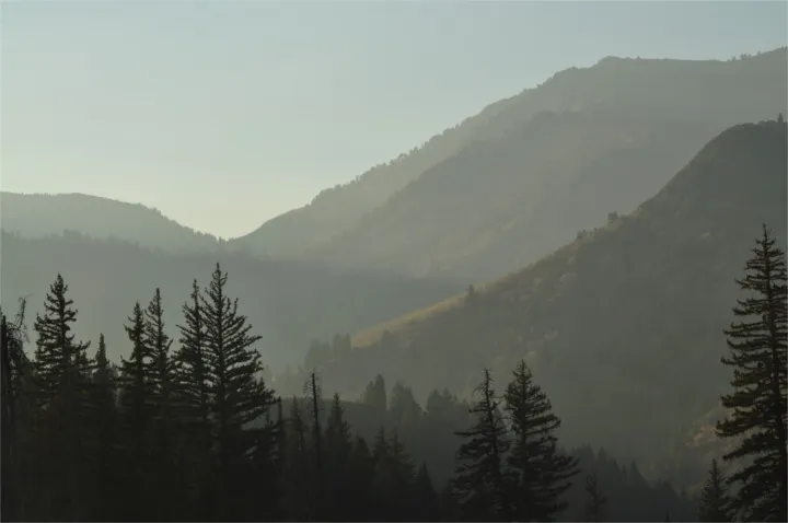 haze1.jpg